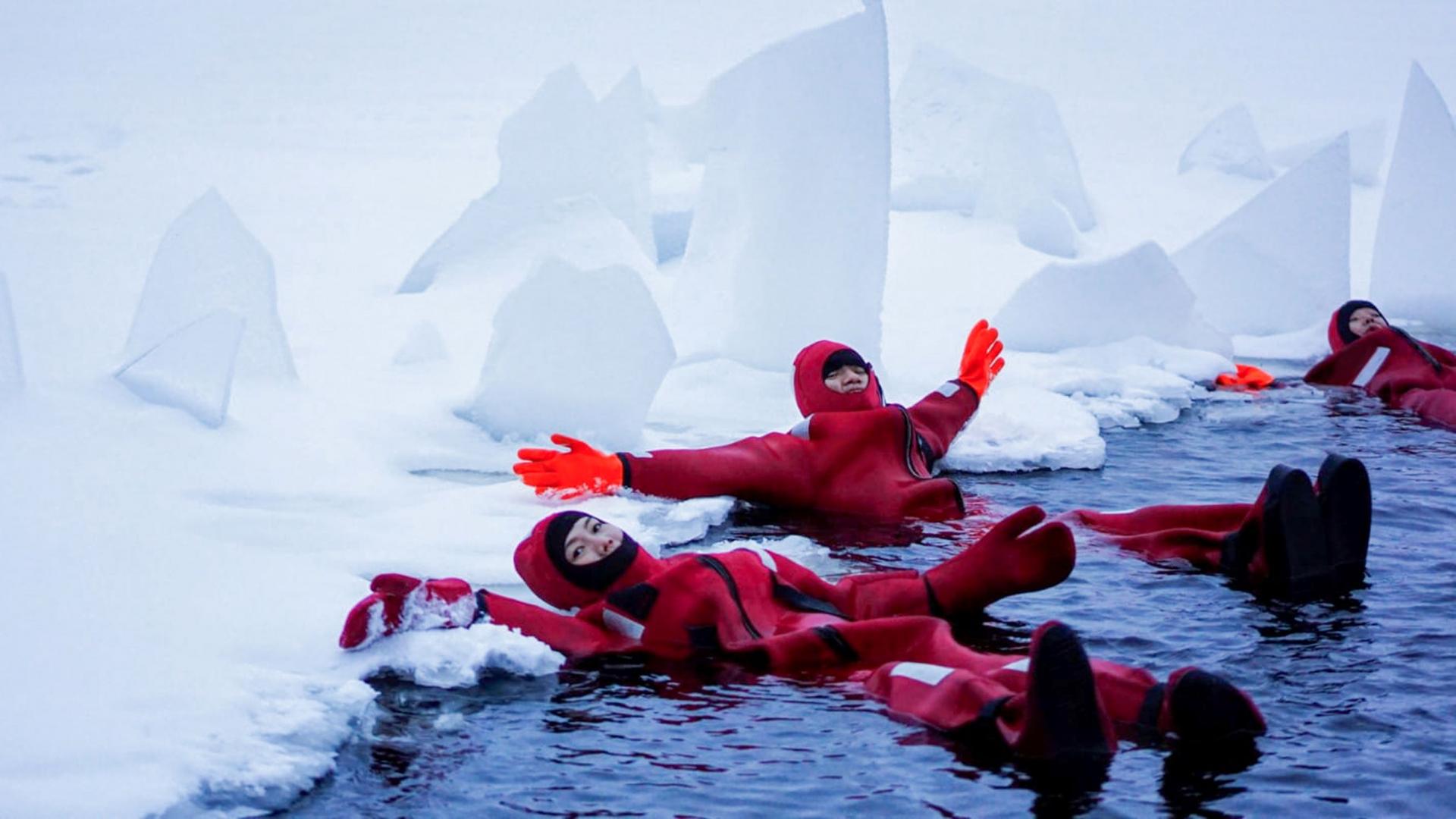 IceFloating in Arctic Lake Sunny Safari